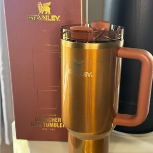 Stanley Christmas Edition Tinsel Glow 40oz Tumbler